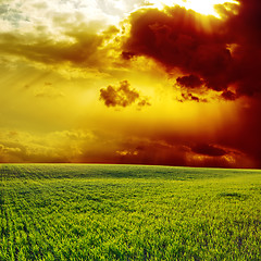 Image showing sunset over green field