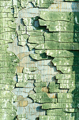 Image showing cracked old green paint texture closeup