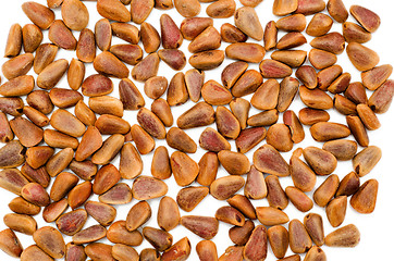 Image showing Nuts of Siberian Cedar Pine