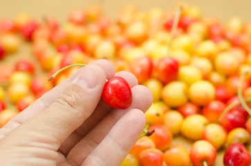 Image showing cherry in hand