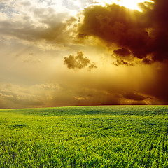 Image showing dramatic sunset over green field