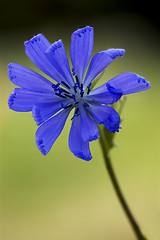 Image showing close up of a blue composite  