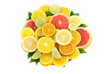 Image showing Citrus