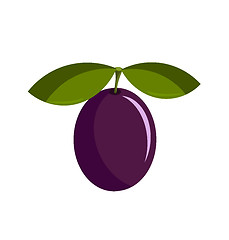 Image showing Plum