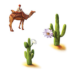 Image showing Desert, Bedouin on camel, saguaro cactus with flowers, Opuntia cactus, Natural habitat