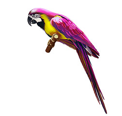 Image showing Pink parrot, colorful parrot, Isolated on white background.