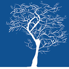 Image showing Tree silhouette