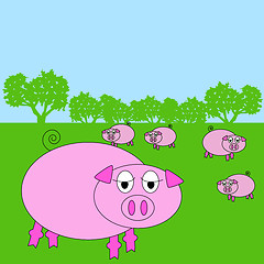 Image showing pig