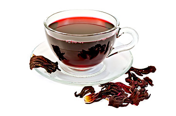 Image showing Tea hibiscus with petals