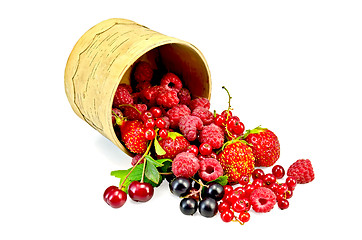 Image showing Berries different in a birch tueski