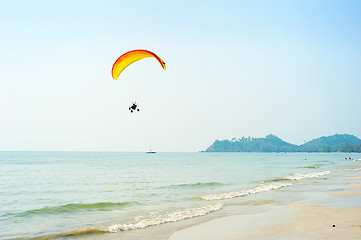 Image showing Paragliding