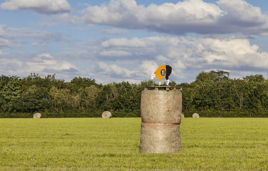 Image showing Hay Bales During Le Tour de France