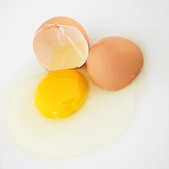 Image showing Cracked fresh hens egg