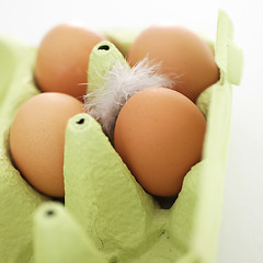 Image showing Cardboard carton with eggs and a feather