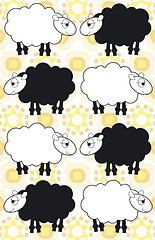 Image showing sheep