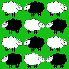 Image showing sheep