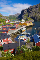 Image showing Nusfjord