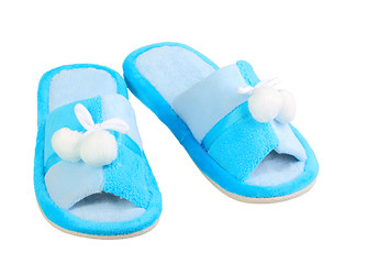 Image showing Domestic blue slippers