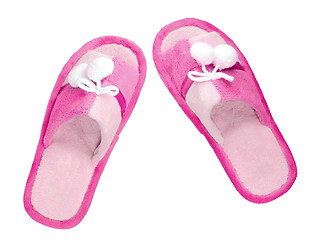 Image showing Domestic blue slippers