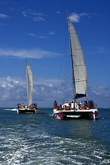 Image showing  catamaran  in mauritius