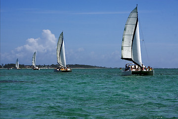 Image showing navigable  froth  catamaran and coastline