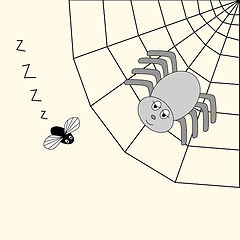 Image showing spider and fly
