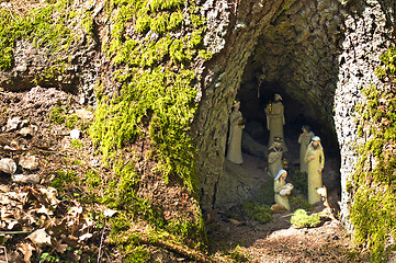 Image showing nativity scene in a hollow tree