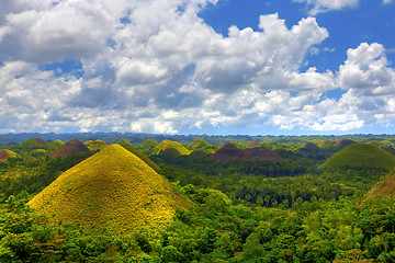 Image showing Chocolate Hills