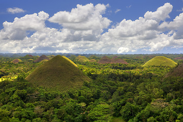 Image showing Chocolate Hills