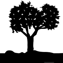 Image showing Tree Silhouette