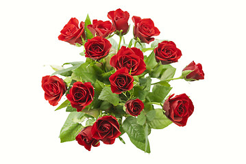 Image showing Red Roses