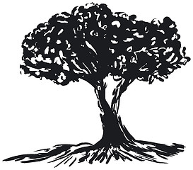 Image showing Tree silhouette