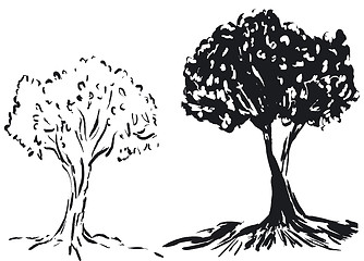 Image showing Tree silhouette