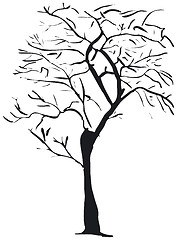 Image showing Tree silhouette