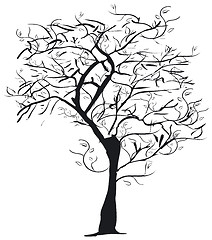 Image showing Tree silhouette