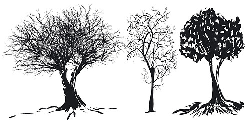 Image showing Tree silhouette