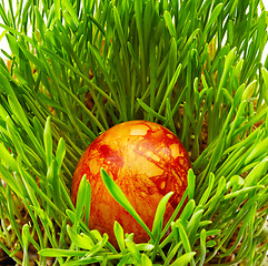 Image showing Easter eggs colored with onion peel