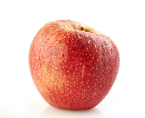 Image showing red wet apple
