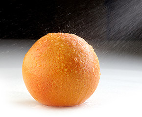 Image showing fresh wet grapefruit