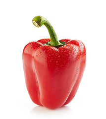 Image showing fresh red wet paprika