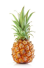 Image showing fresh pineapple