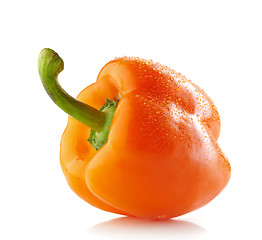 Image showing fresh wet orange paprika