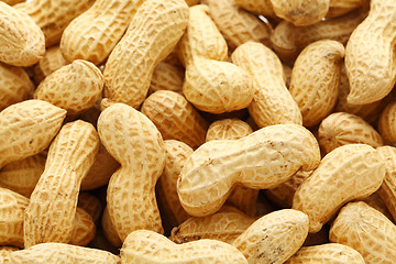 Image showing Dried peanut