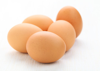 Image showing fresh egg