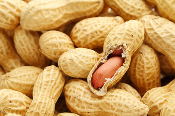 Image showing Dried peanut