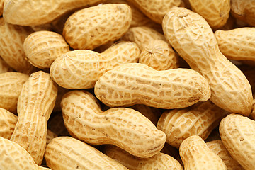 Image showing peanut