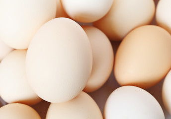 Image showing egg background