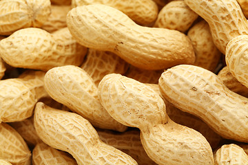 Image showing Peanut