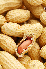 Image showing peanut