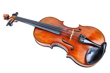 Image showing violin